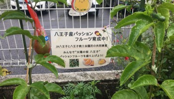 宮上小学校 宮上小学校