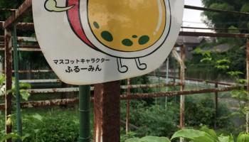 由井第三小学校 由井第三小学校