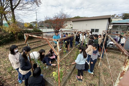 由井第三小学校 由井第三小学校
